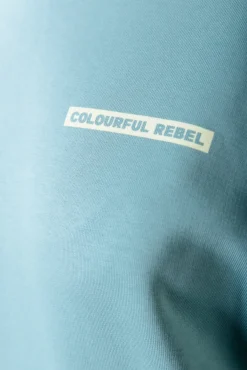 Hoodies*Colourful Rebel Box Logo Hoodie | Mineral blue Mineralblue