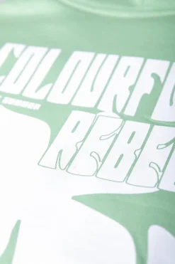 Hoodies*Colourful Rebel Flower Hoodie | Soft Green Softgreen