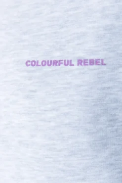 Truien*Colourful Rebel Flower World Tour Sweat | Light grey melange Lightgreymelange