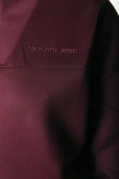 Truien*Colourful Rebel Ilena Zipped Sweat | Port Red Portred