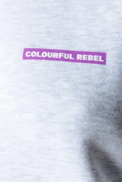 Hoodies*Colourful Rebel Sleeve Logo Hoodie | Light grey melange Lightgreymelange