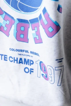 Truien*Colourful Rebel State Champ Sweat | Light grey melange Lightgreymelange