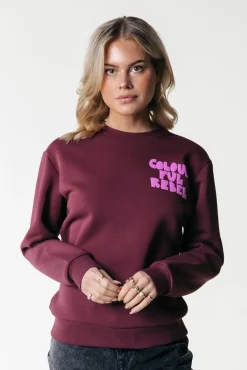 Truien*Colourful Rebel Wave Logo Sweat | Port Red Portred