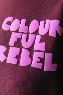Truien*Colourful Rebel Wave Logo Sweat | Port Red Portred