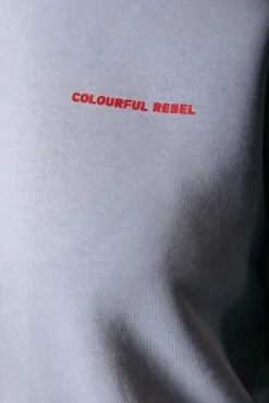 Hoodies*Colourful Rebel World Tour Hoodie | Light grey Lightgrey
